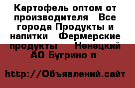 Картофель оптом от производителя - Все города Продукты и напитки » Фермерские продукты   . Ненецкий АО,Бугрино п.